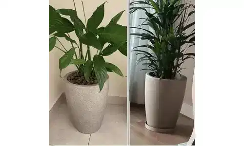Foto do produto em oferta