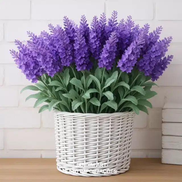 Foto do produto em oferta